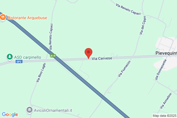 Lazzari leonello