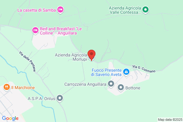 Morlupi carlo