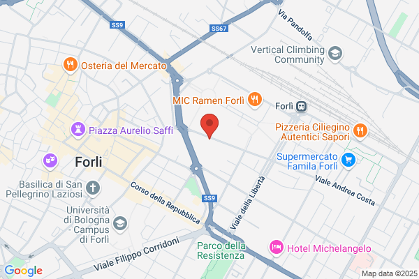 Giglioli Srl