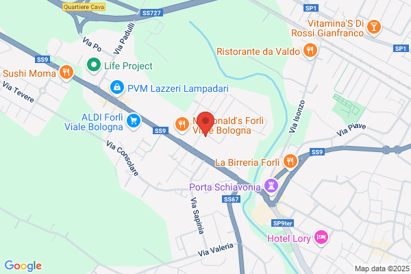 Vida Elettronica Srl