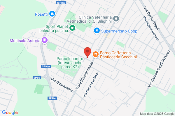 Scuole/Scuole Elementari