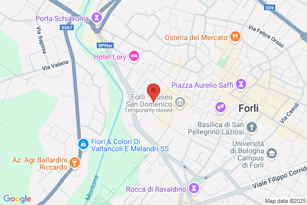 Istituto Professionale Ruffilli