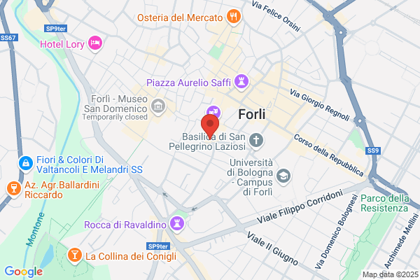 Volley Forli Srl