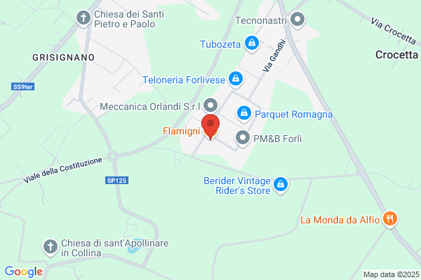 Flamigni Angelo