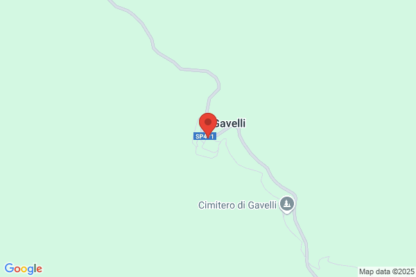 Gavelli S.N.C.