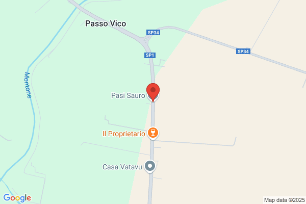 Pasi sauro