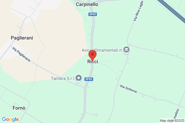 Ricci veris