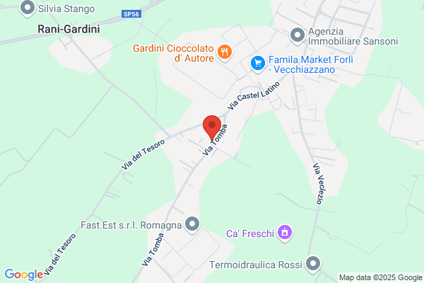 Zauli giorgio (Geom.)