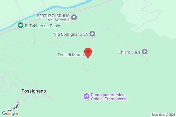 Tedaldi marco