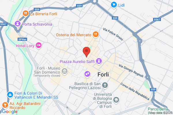 Galleria Darte Farneti B.
