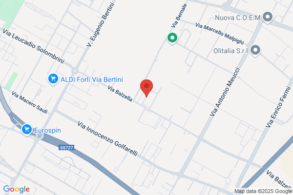 Elettromeccanica Forlivese Di Brunetti Roberto