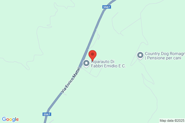 R.A.F. Di Gridelli Tonino & C. S.N.C.
