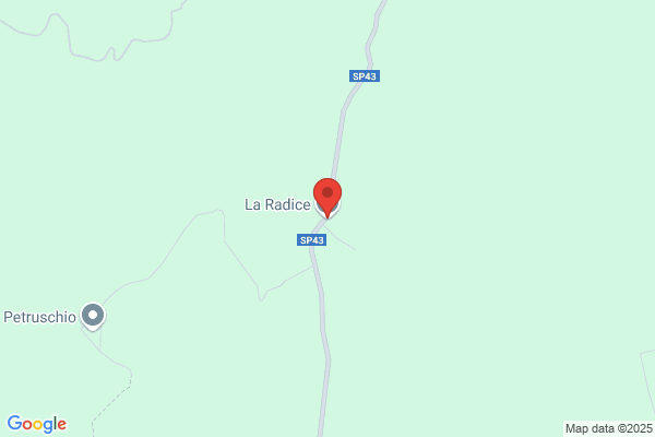 La Radice (S.R.L.)