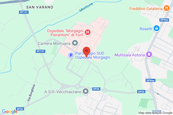Vicini Prof. Dott. Claudio c/o Ospedale Morgagni- Pierantoni