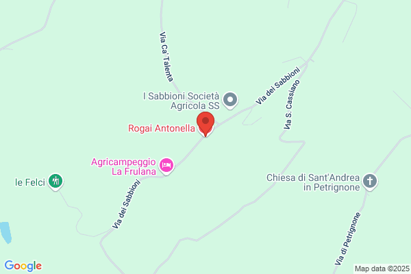 Rogai antonella (Dr.)