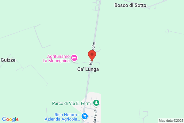 Nardi marilena