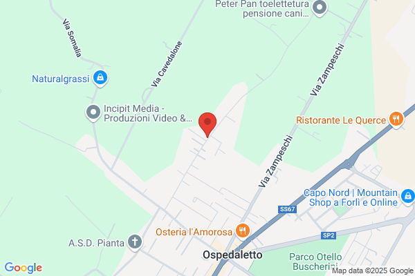 Lattoniere Rossi Leopoldo