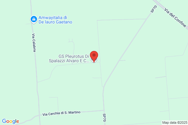 Spalazzi graziano
