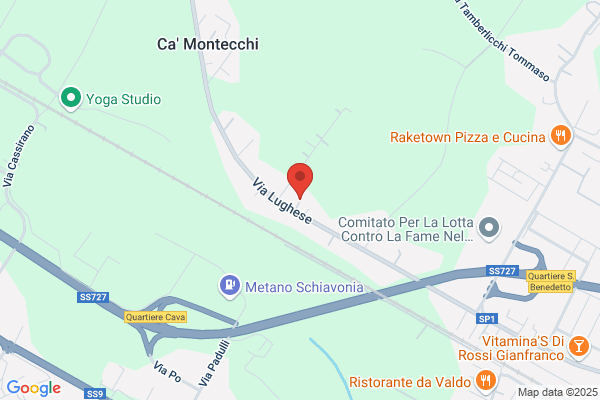 Salumificio Artigiano Di Beneventi Antonio E Stefano Snc
