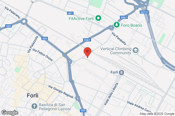 Cortesi Primo Reti