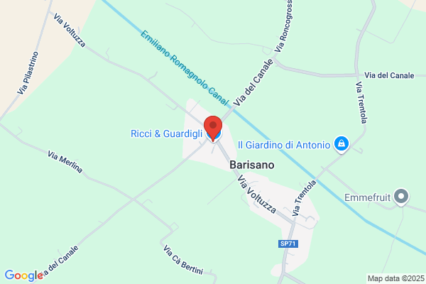 Ricci & Guardigli S.R.L.
