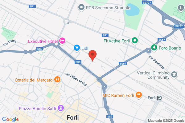 Romagna Express International S.R.L.