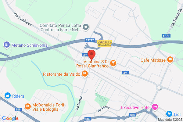 Salvini francesco