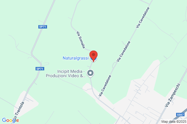 Naturalgrassi