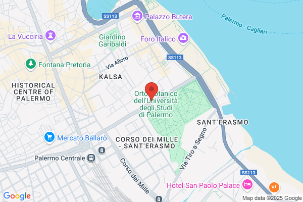Il Tessuto Di Zanzani Oriana E Pretolani giuliana s.D.F.