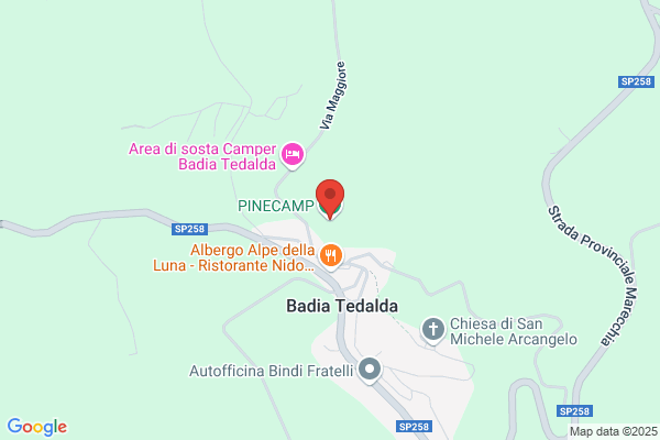 Pini miranda