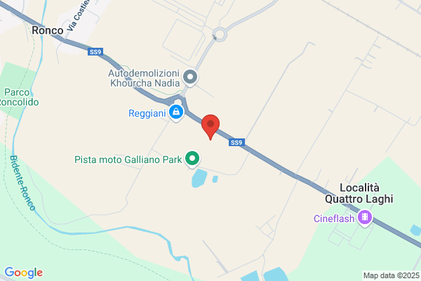 Bacchi, Claudio