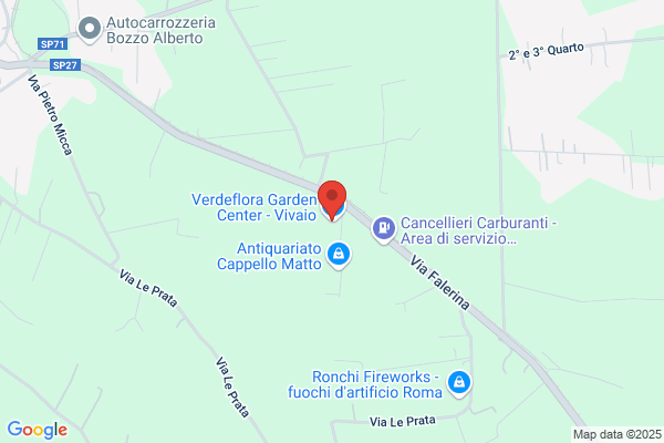 Orchidea Di Giovannini Sebastiano