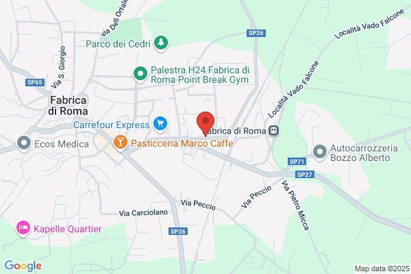 Vivi Lo Sport Di Romoli E Ferri (S.A.S.)