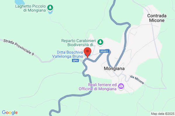 Ditta Boschiva Vallelonga