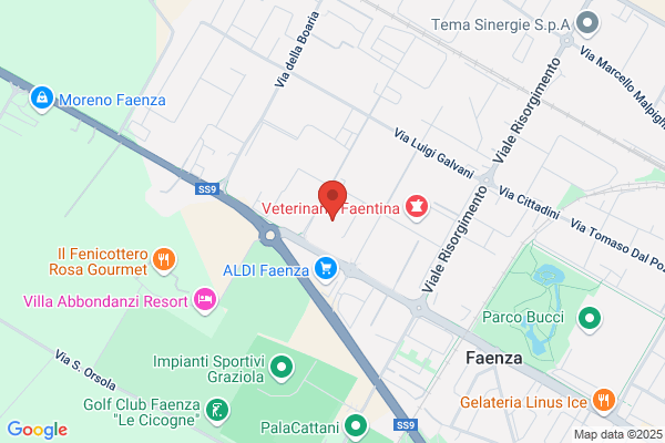 Faventia Tourist S.R.L.