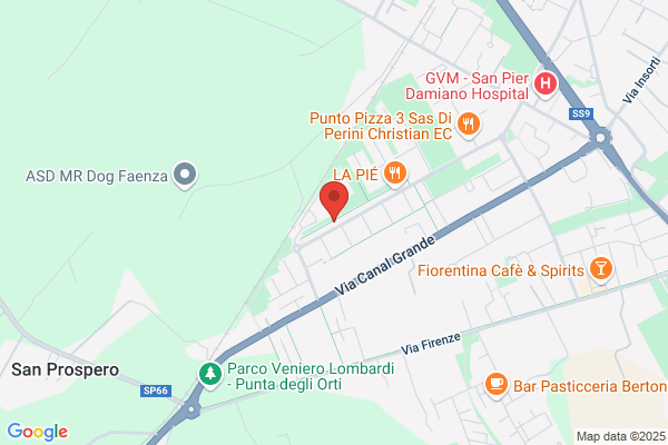 Federcaccia