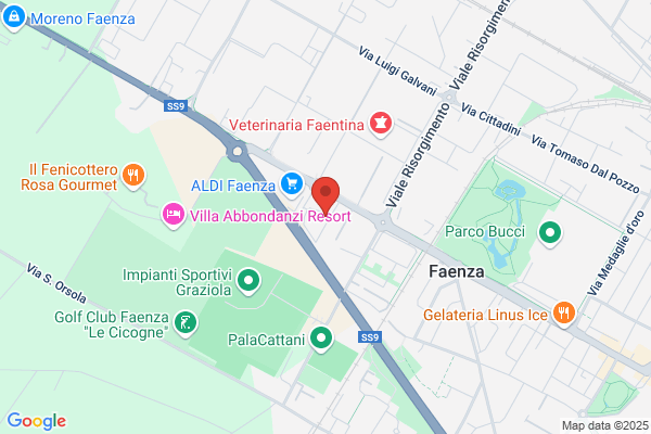 Faenzauto S.R.L.