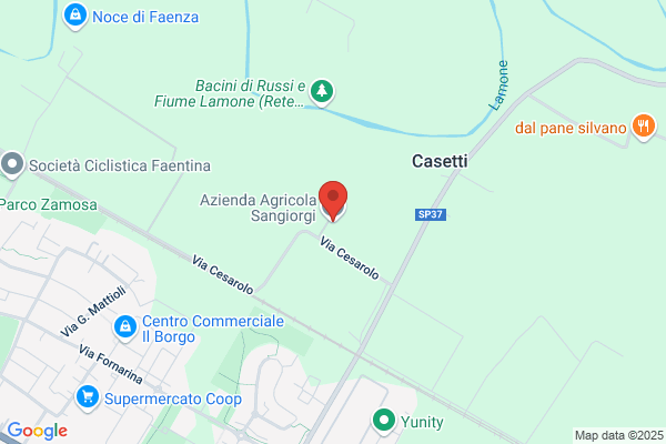 Sangiorgi alessandro