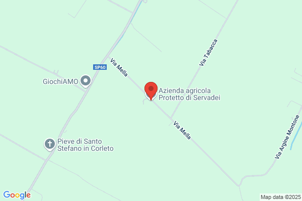 Servadei anselmo Sauro E Romano