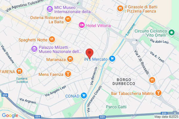 La Mimosa Di Bagnara Antonietta