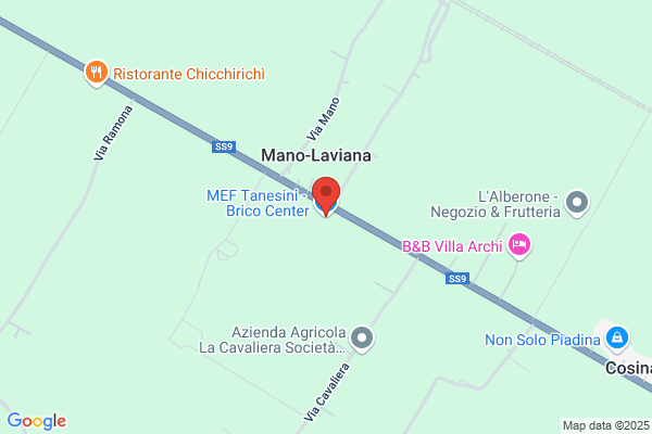 M.E.F. Tanesini - Brico Center