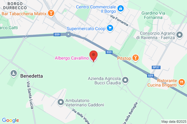 Hotel Cavallino