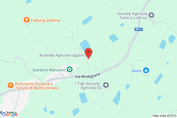 Ugolini secondo