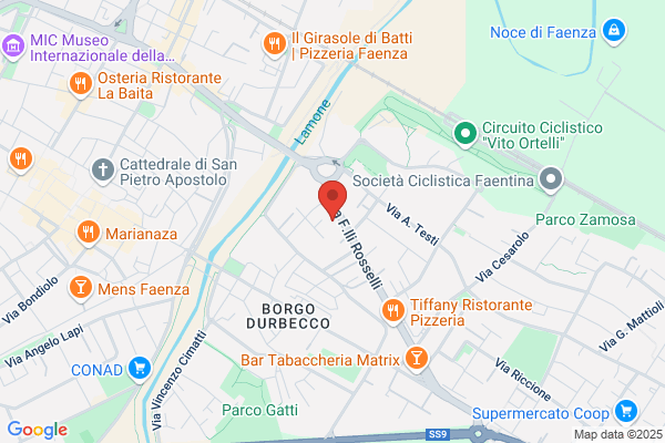 Faenza Pneus Snc Di Sartoni Oralndo E massimo