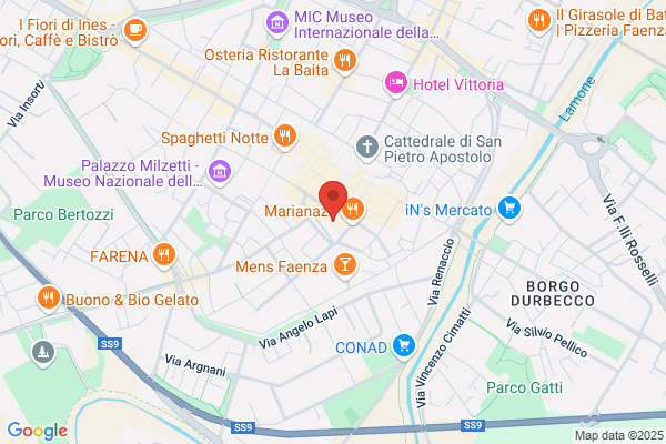 La Brace Di Baldini Anna Rosa
