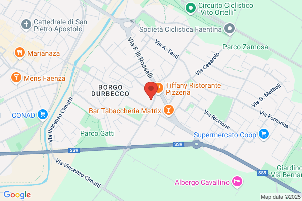 Faenza Grondaie