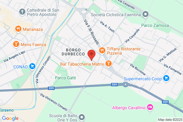 Pizza Casa del Borgo