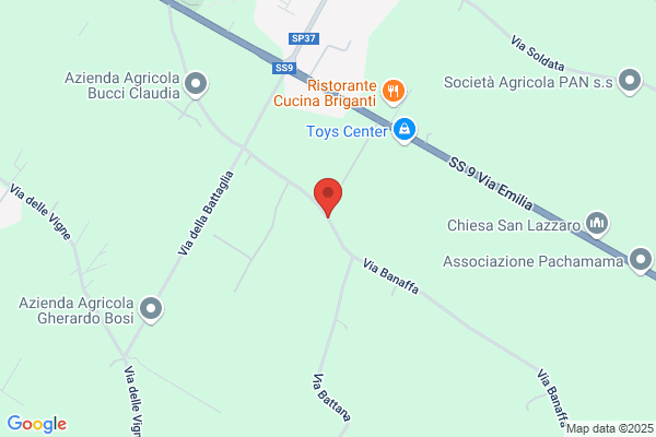 Zanelli Commerciale Srl