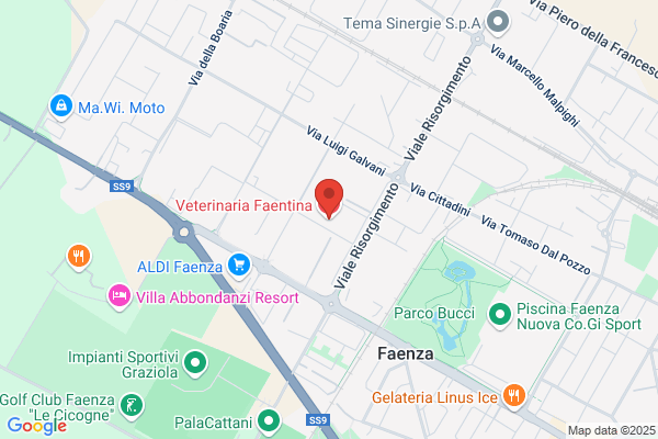 Veterinaria Faentina