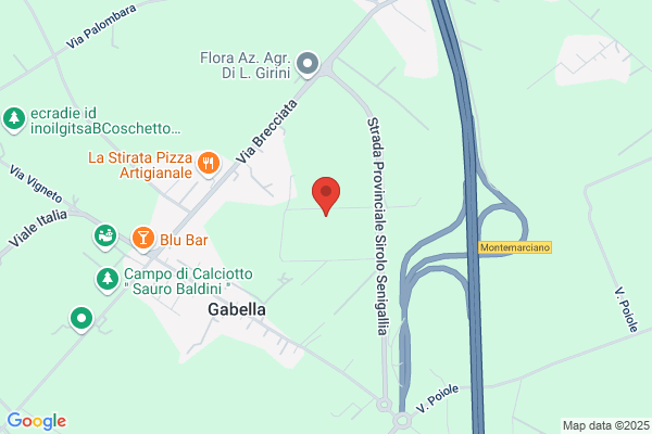 Mediterranea Service
